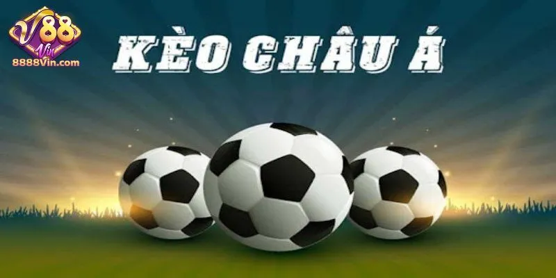 Giới thiệu đặc điểm sơ lược của kèo châu Á