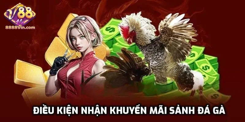 Phải làm gì để nhận khuyến mãi sảnh đá gà