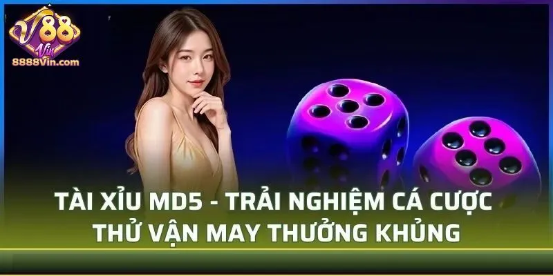 Giới thiệu tổng quan về game tài xỉu MD5