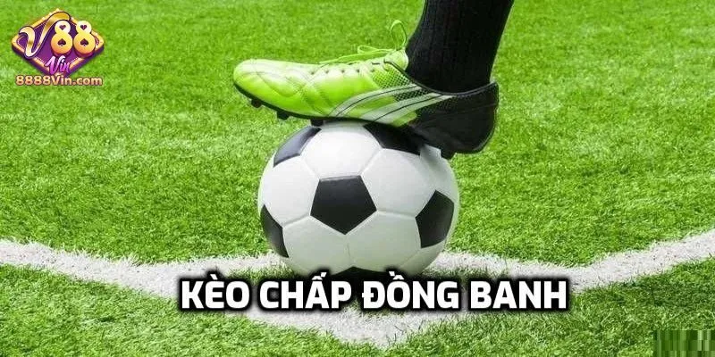 Chơi chấp đồng banh dễ hiểu, hợp tân thủ