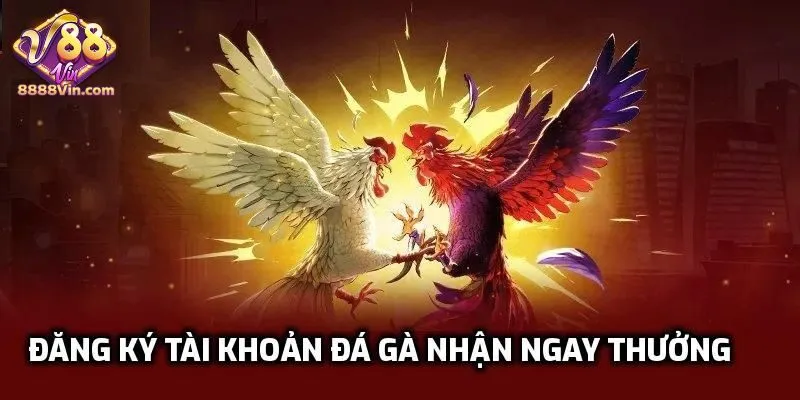 Đăng ký tài khoản đá gà nhận ngay thưởng