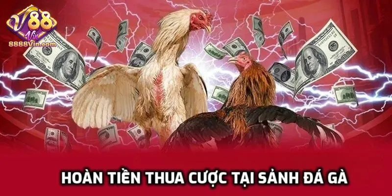 Hoàn tiền thua cược cực đã, siêu chất